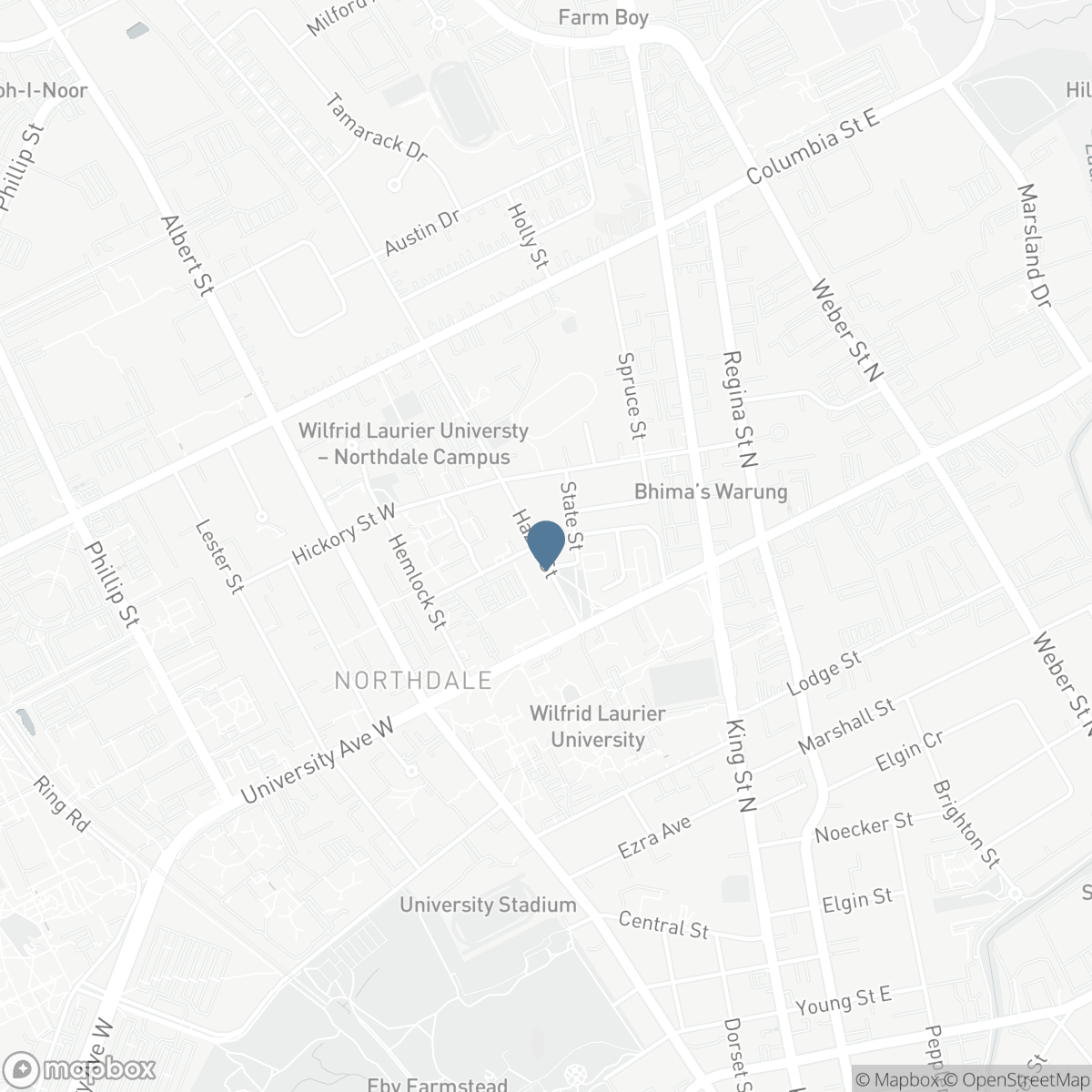 262 HAZEL Street, Waterloo, Ontario N2L 3N9